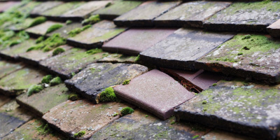 East Hyde roof repair costs